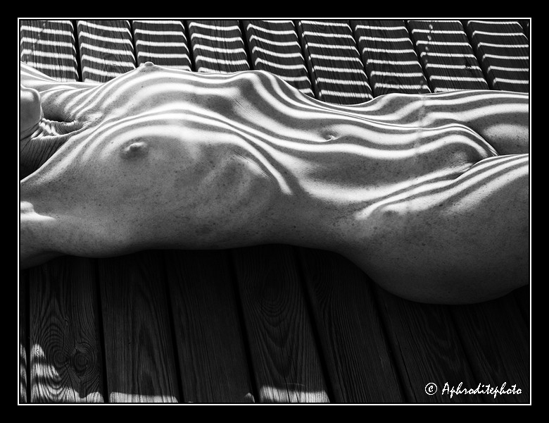 207 Lignes d'ombres 2